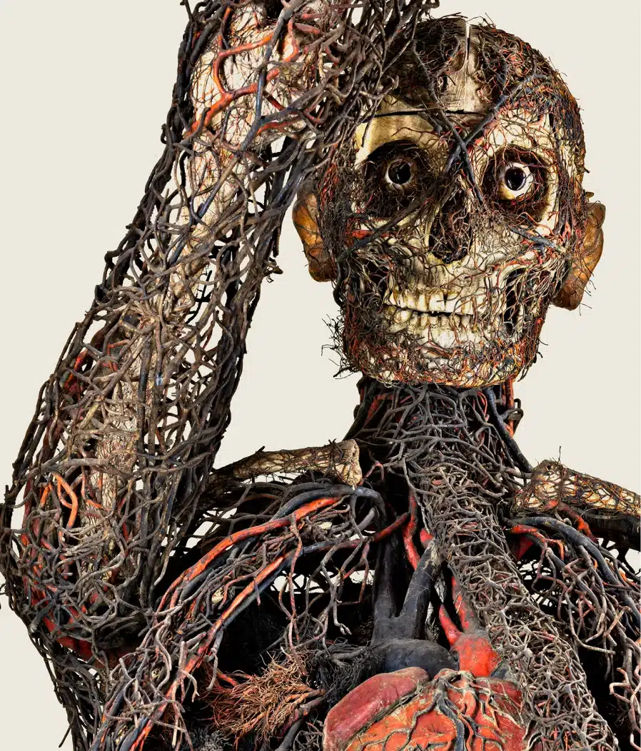 macchine anatomiche cappella sansevero napoli sistema circolatorio