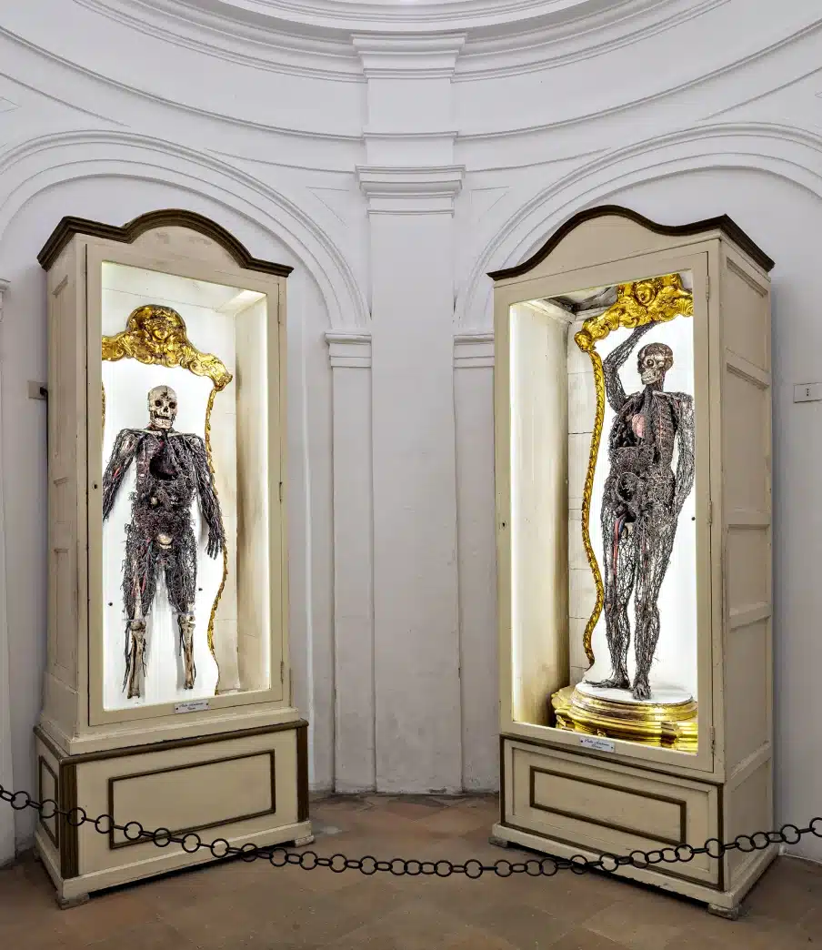 macchine anatomiche cappella sansevero napoli sistema circolatorio